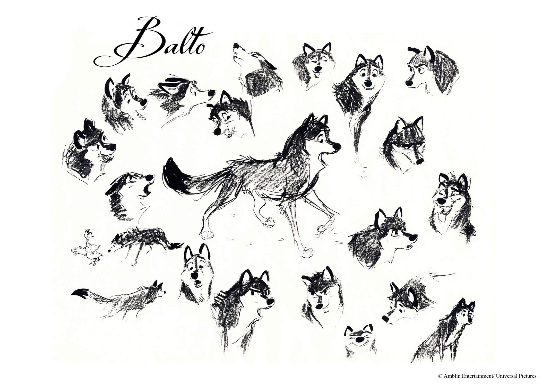 EXTRATour_Carlos-Grangel_Balto